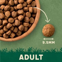 Harringtons Complete Chicken Adult Dry Dog Food 4K...