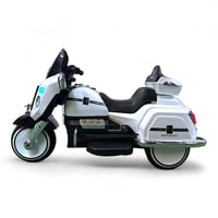 دباب كهربائي 12 فولت روز رايز