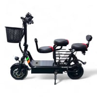 سكوتر كهربائي العائلة 48 فولت ثلاث كراسي