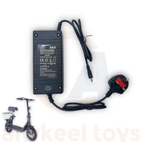 شاحن سكوتر 48 فولت سلة