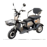 دباب S01 الكهربائي 3 عجلات 60فولت