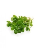 بذور رجلة Purslane Seeds
