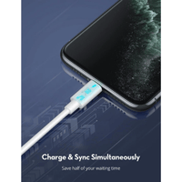 راف باور - سلك تايب سي تو لايتنينق 1 متر - اللون ا...