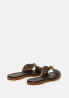 سليبر كارولينا هيريرا