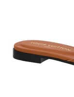 سليبر لوي فيتون