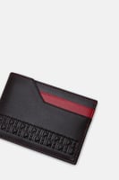 هولدر كارولينا هيريرا