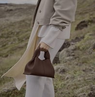 شنطة بولين/مقاس ميني