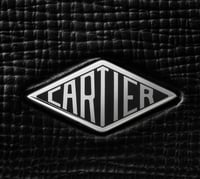 هولدر كارتير