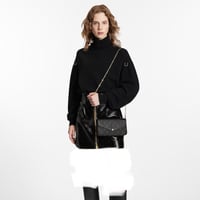 شنطة لوي فيتون فيليسي