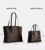 شنطة كوتش/توت باق