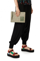 باوتش لويڤي