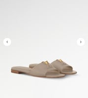 سليبر لوي فيتون