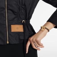 اسوارة لوي فيتون