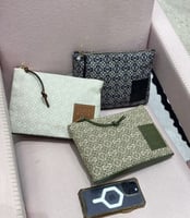 باوتش لويڤي