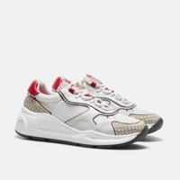 شوز كارولينا هيريرا