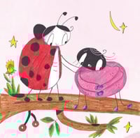 العنكبوتة الوردية