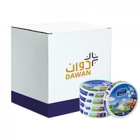 شبيه جبنة مثلثات المراعي 120ج/ 24 عبوة