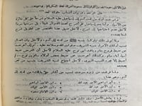 مثير الوجد في انساب ملوك نجد اصل