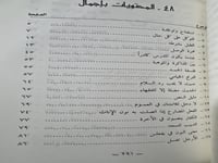 ملاعبة الصيد لابن عقيل الظاهري