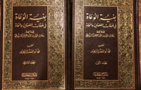 بغية الوعاة في طبقات اللغويين والنحاة