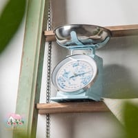 0754 ميزان ريترو معدني أنيق من إزابيل روز 3kg (سما...