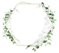 بوكس لوقو الاسم للأعواد