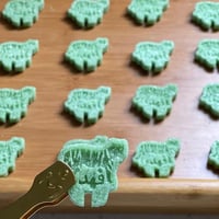 بوكس سكر شكل فهد اسماء