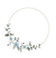 بوكس لوقو الاسم للأعواد