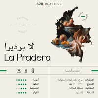 سويل كولومبيا لا براديرا 250ج