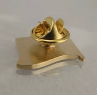 بروش دبوس علم