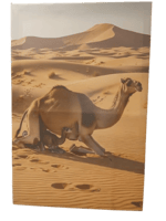 صورة تراثية