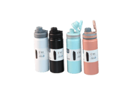 مطارة مياه من الصلب 600ML WBS6075