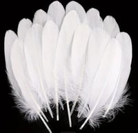 ريشة كرافت اتش 5475ابيض