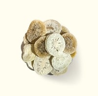 كيوي مجفف عادي