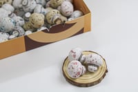 دراجيه مشروم بالتوت الأحمر