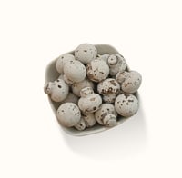 دراجيه مشروم شوكلاته وحليب