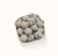 دراجيه مشروم بالشوكلاته