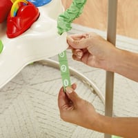 نطاطة الغابة