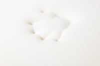 مرتبة طبي قابل للطي فوم