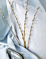 طقم مفارش مزدوج كينج Nelya