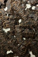 فراشة كمبودي