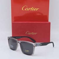 نظاره كارتير