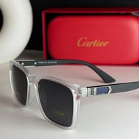 نظاره كارتير