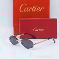 نظاره كارتير