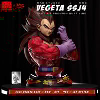 Super Saiyan 4 Vegeta - MRC Studio & MAD Studi