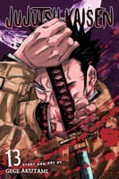 volume : 13