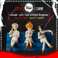 مجموعة نيفرلاند ايما - راي - نورمان