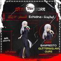 ايكيدنا - Echidna