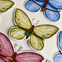 سلسال الفراشة