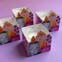 كيمياء الشموع